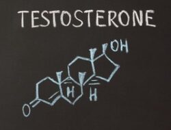 Paksu Dianjurkan Tahu! Ini 5 Makanan yang Bisa Bikin Hormon Testosteron ‘Anjlok’