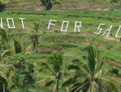 2.000 Hektare Sawah di Bali Raib per Tahun Gara-gara Pembangunan Lodge