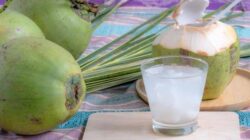 5 Manfaat Minum Air Kelapa Setiap Hari, Ini yang Nanti akan Terjadi Pada Tubuh