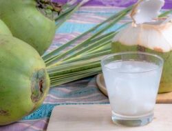 5 Manfaat Minum Air Kelapa Setiap Hari, Ini yang Nanti akan Terjadi Pada Tubuh